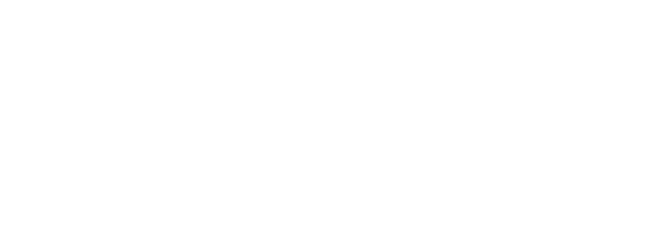 IZ Digital